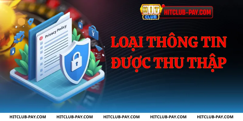 Loại thông tin được thu thập